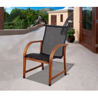 Alyisa Wood Finish Modern Patio Dining Chair (Set Of 2) by Lark Manor