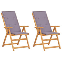 Otani Folding Acacia Patio Dining Armchair with Cushion by Highland Dunes