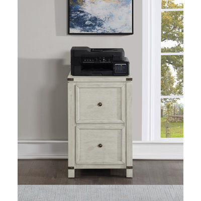 Concepcion 2 Drawer Vertical Filing Cabinet by Inbox Zero