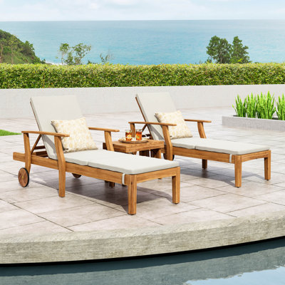 Sonntag Reclining Chaise Lounge with Cushion and Table