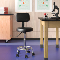 Hydraulic Height Adjustable Lab Stool with Backrest by Wade Logan