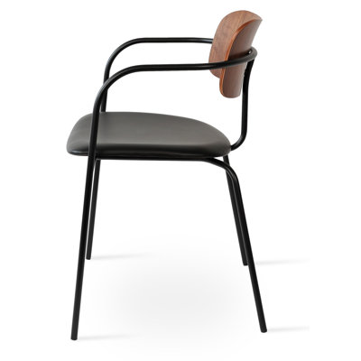Northwest Hills Side Chair by 17 Stories