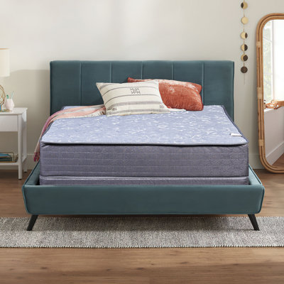 White Noise 11" Firm Innerspring Mattress and Box Spring by White Noise