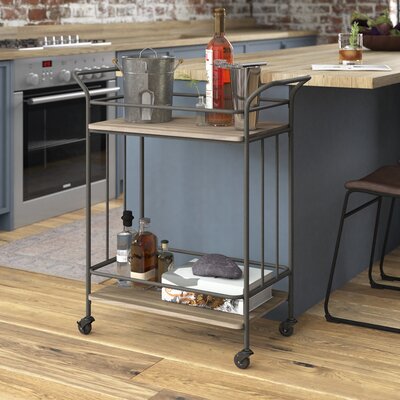 Bromarg Metal Frame Bar Cart by 17 Stories