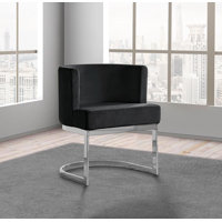 Dmitri Velvet Side Chair by Everly Quinn