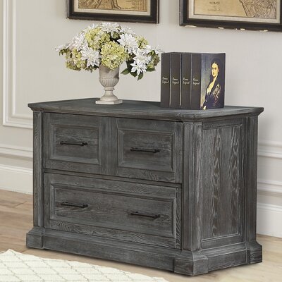 Elane 2-Drawer Lateral Filing Cabinet by Gracie Oaks