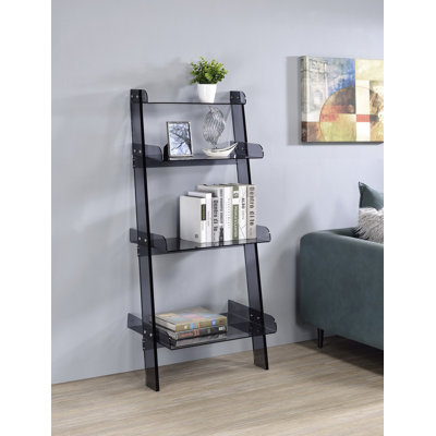 Cicely 55" H x 24.4" W Plastic Ladder Bookcase with Bins by Etta Avenue