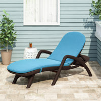 Delano Chaise Lounge Outdoor Seat Cushion by Alwyn Home