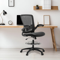 Ergonomic Desk Chair, Mesh Home Office chair, Swivel Desk, Computer Chair with Lumbar Support, Height Adjustable with Foot Ring by Inbox Zero