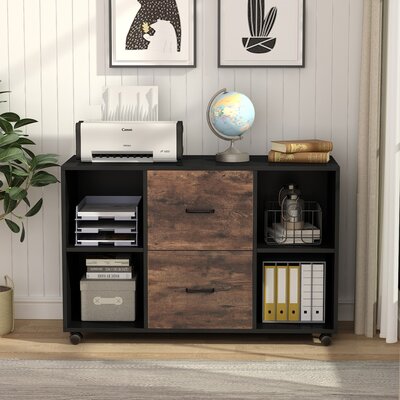 Parkdale 2-Drawer Mobile Lateral Filing Cabinet by 17 Stories