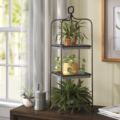 Ayoki Multi-Tiered Plant Stand by August Grove