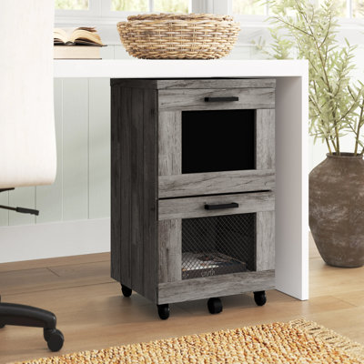 Alicia 2-Drawer Vertical Filing Cabinet by Sand & Stable