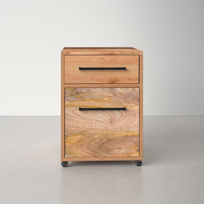 Ascent 2-Drawers Mobile Vertical Filing Cabinet by AllModern