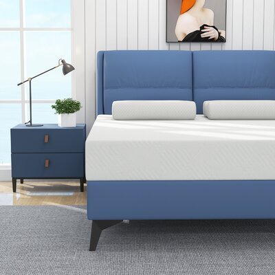 Ringgold 10" Foam and Spring Hybrid Mattress, Medium Firm Feel Durable Support Mattress Bed in a Box by Alwyn Home