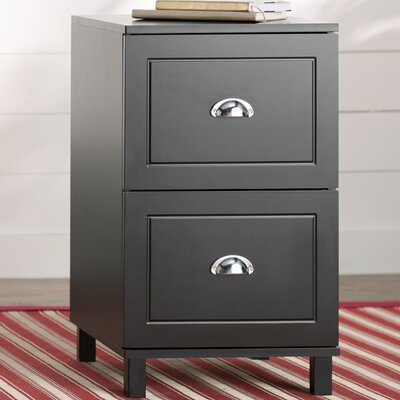 Brodan 2-Drawer Vertical Filing Cabinet by Winston Porter
