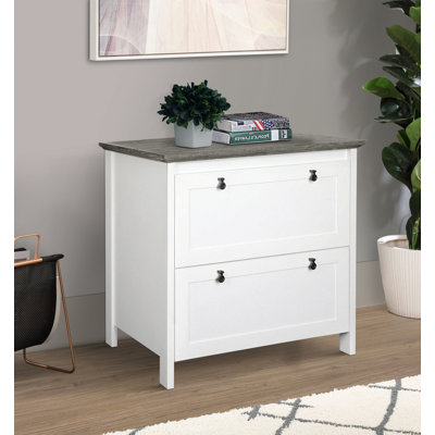 Farnam 2-Drawer Lateral Filing Cabinet by Gracie Oaks