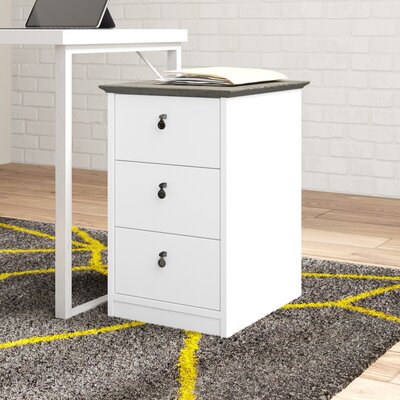 Audreona 3-Drawer Vertical Cabinet by Lark Manor