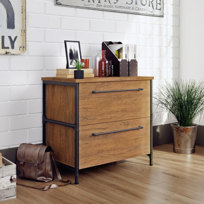 Stedman 2-Drawer Lateral Filing Cabinet by Williston Forge