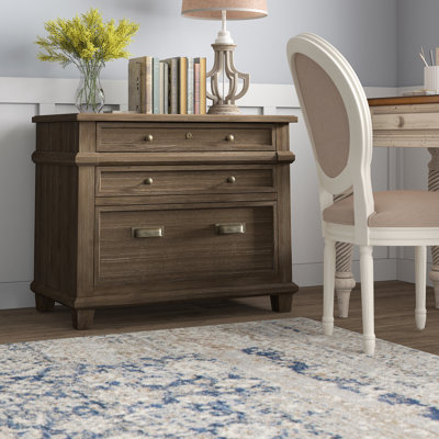 Alderton 2 Drawer Lateral Filing Cabinet by Birch Lane