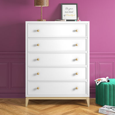 Aubry 5 Drawer 42" W Chest by Etta Avenue Teen