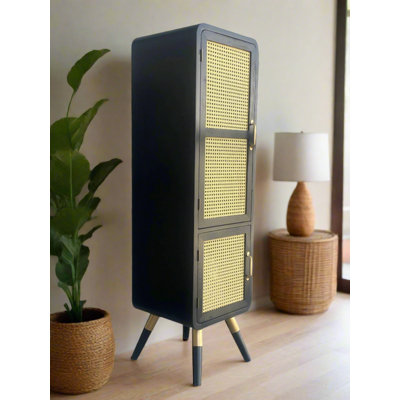 Bot Modern Cane Accent Cabinet with 2 Doors and 3 Shelves, Vertical Wood Storage with Elegant Accents, Mid-Century Contemporary Design by Dakota Fields