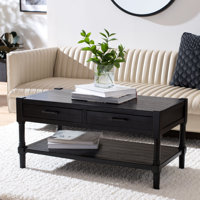 Okeefe Coffee Table with Storage by Canora Grey