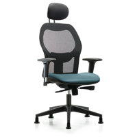 Ergonomic Task Chair by Inbox Zero
