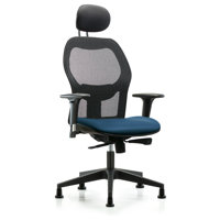 Ergonomic Task Chair by Inbox Zero