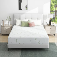 Fairbury Medium Gel Memory Foam Mattress in a Box by Alwyn Home