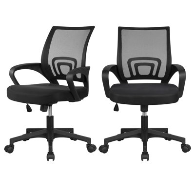 Ergonomic Mesh Task Chair with Adjustable Lumbar Support by Inbox Zero