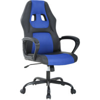 Home Office Ergonomic PC & Racing Gaming Chair by Inbox Zero
