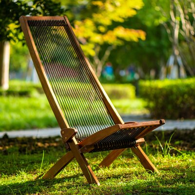 Alvord Langston Solid Wood Folding Adirondack Chair by Bayou Breeze