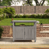Anjenette Beachcrest Home™ Bar Cart with Solid Wood Outer Material