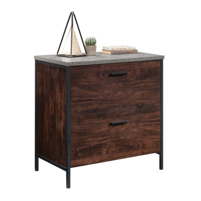 Anrey 2-Drawer Vertical Filing Cabinet by Williston Forge