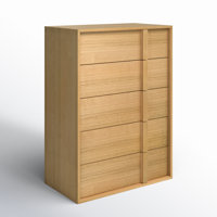Alvarez 5 Drawer Chest by AllModern
