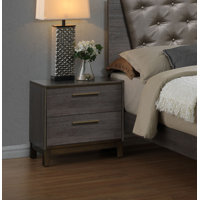 Alira 2 Drawer Nightstand by Latitude Run