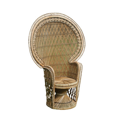 Romulus 50" Wide Balloon Chair
