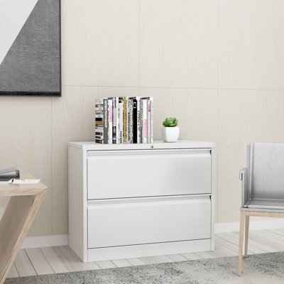 Karanicas 2-Drawer Lateral Filing Cabinet by Latitude Run
