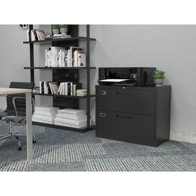 Karanicas 2-Drawer Lateral Filing Cabinet by Latitude Run