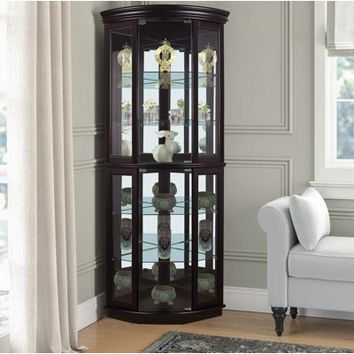 Lighted Corner Curio Cabinet In Walnut Finish by Red Barrel Studio