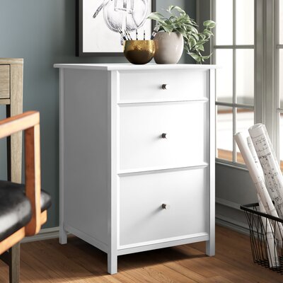 Cailen 3-Drawer Vertical Filing Cabinet by Wildon Home