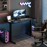 Dojtcho Home Office Adjustable Standing Desk by Inbox Zero