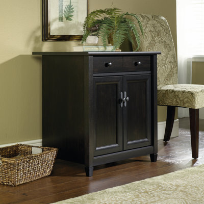 Cardarius 2 Door Accent Cabinet by Winston Porter