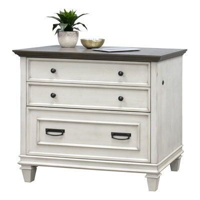 Sereda 2 Drawer Lateral Filing Cabinet by 17 Stories