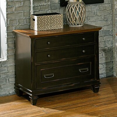 Sereda 2 Drawer Lateral Filing Cabinet by 17 Stories