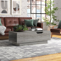 Kianna Lift Top Block Coffee Table with Storage by Steelside