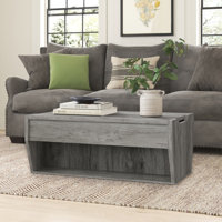 Lateafa Lift Top Floor Shelf 1 Coffee Table with Storage by Wade Logan