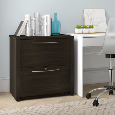 Pasia 2-Drawer Lateral Filing Cabinet by Inbox Zero