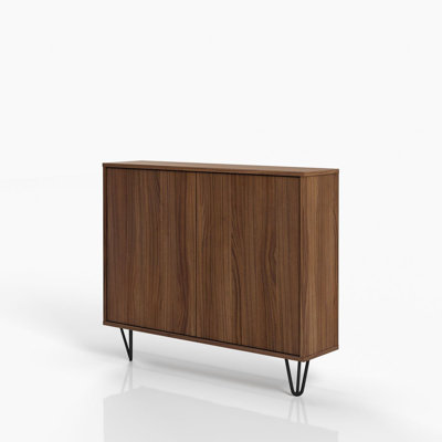 Azerion 2 - Door Accent Cabinet by Wade Logan