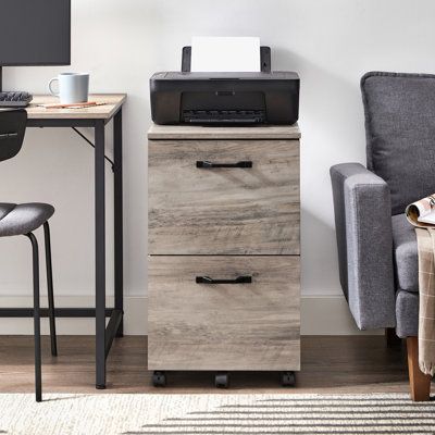 Cambrie 2-Drawer Mobile Vertical Filing Cabinet by Millwood Pines